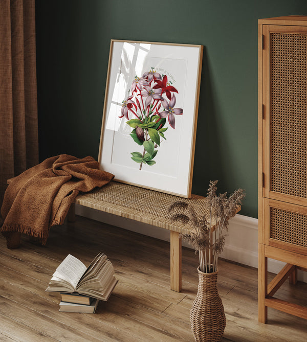 La casse de la Caroline