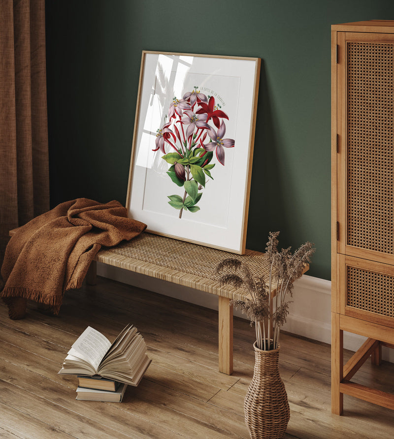 La casse de la Caroline