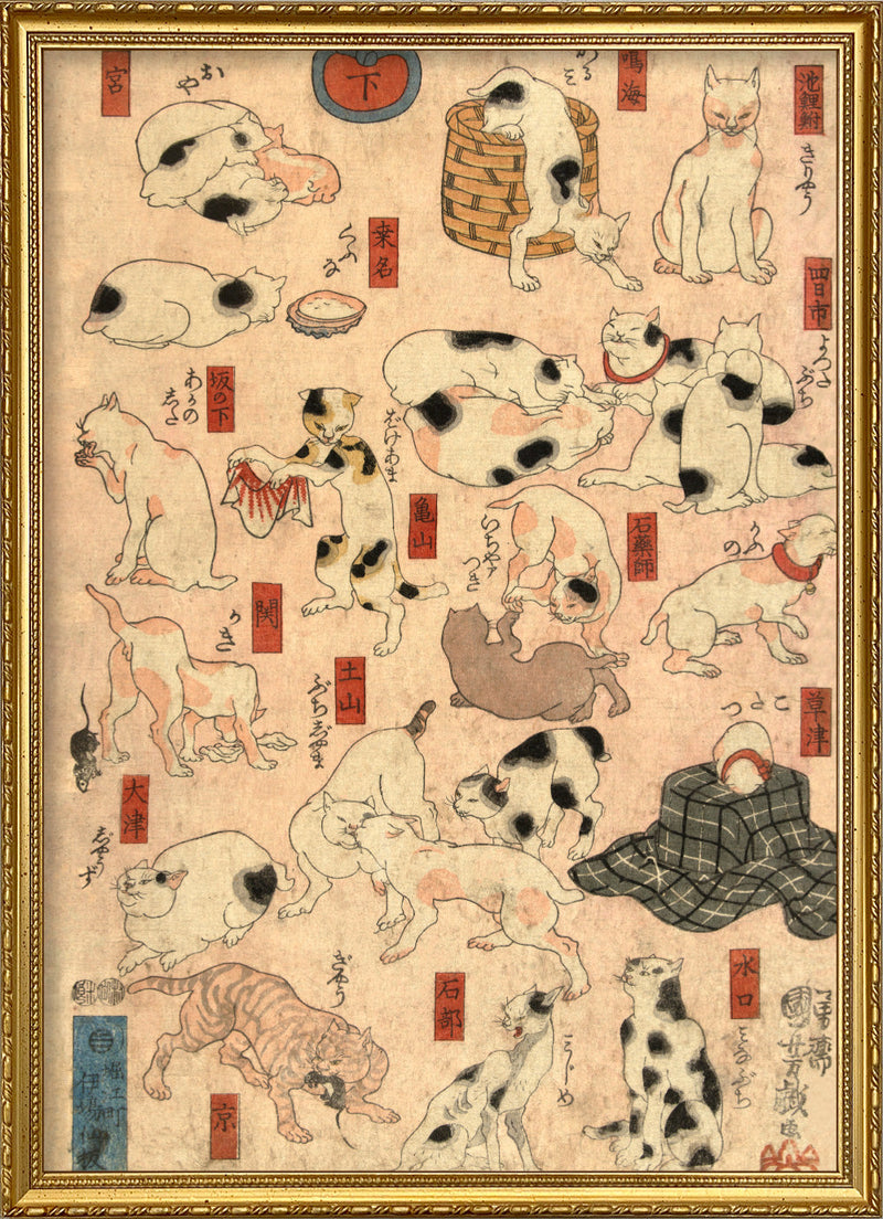 Japanese Station Cats