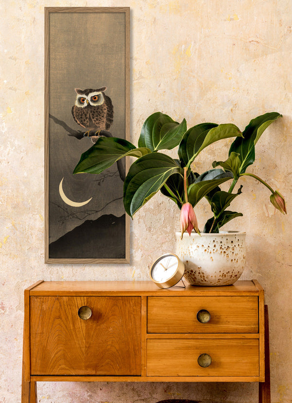 Japanese Owl