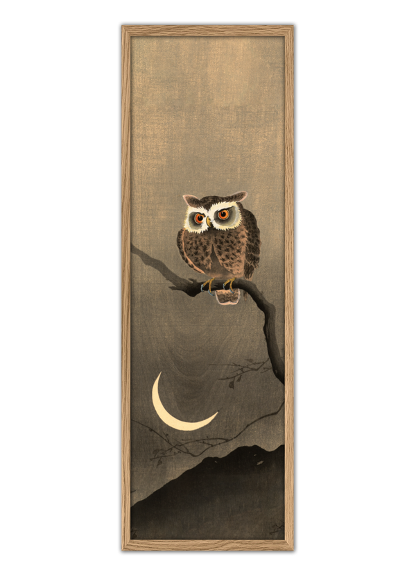 Japanese Owl