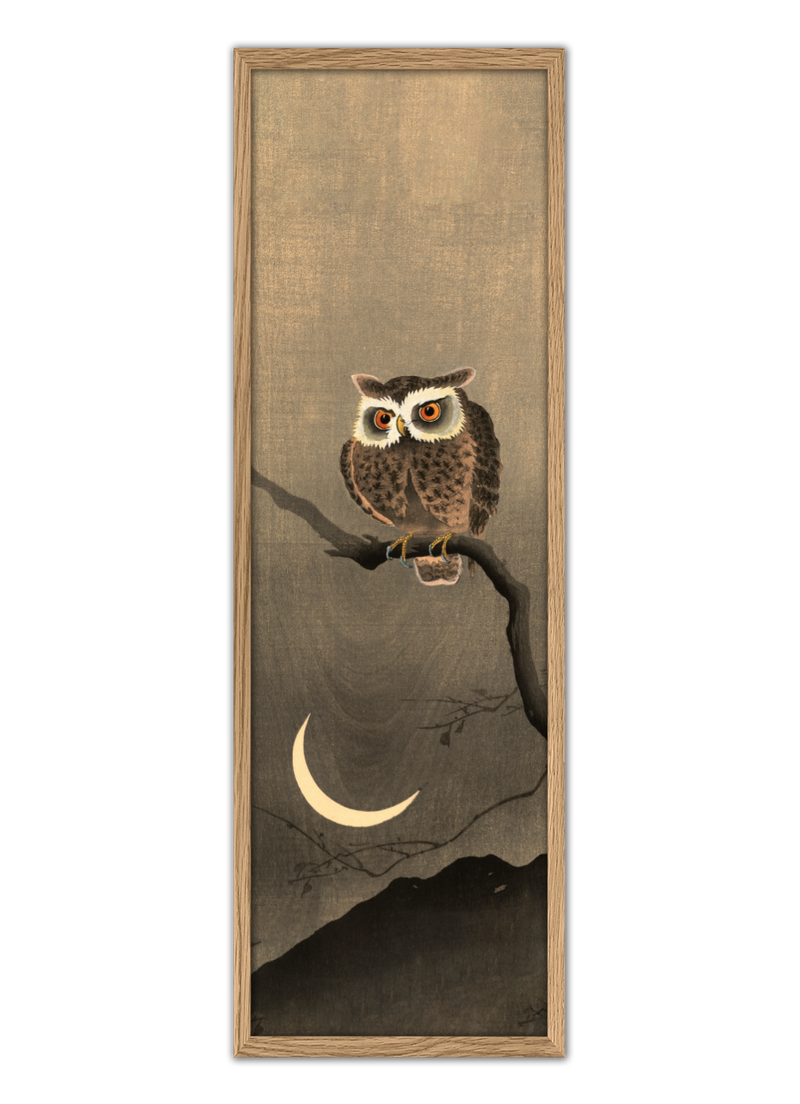 Japanese Owl