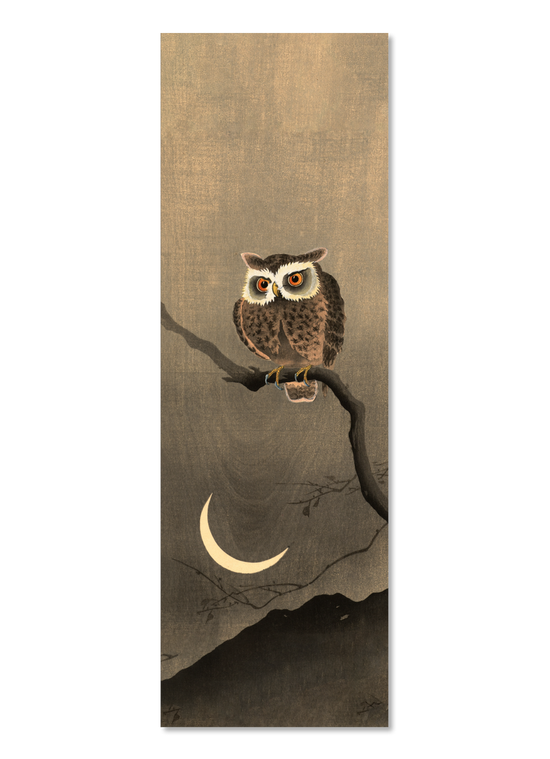 Japanese Owl