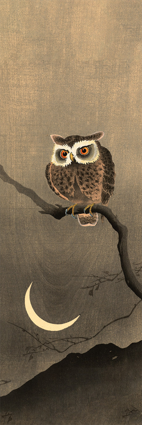 Japanese Owl