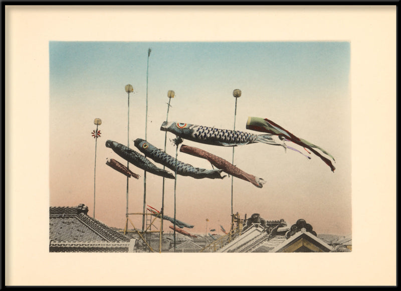 Koinobori Flags at Kodomo no hi