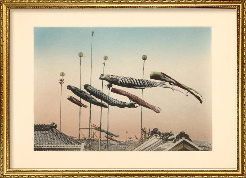 Koinobori Flags at Kodomo no hi