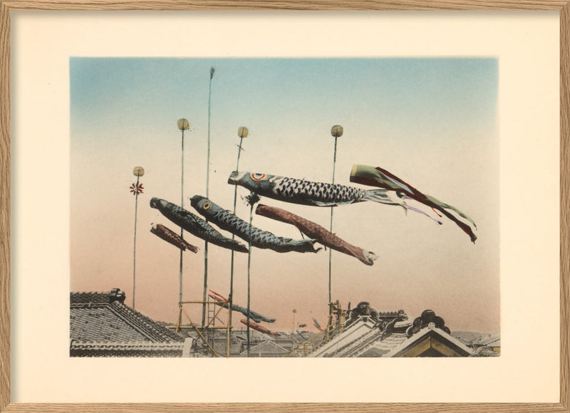 Koinobori Flags at Kodomo no hi