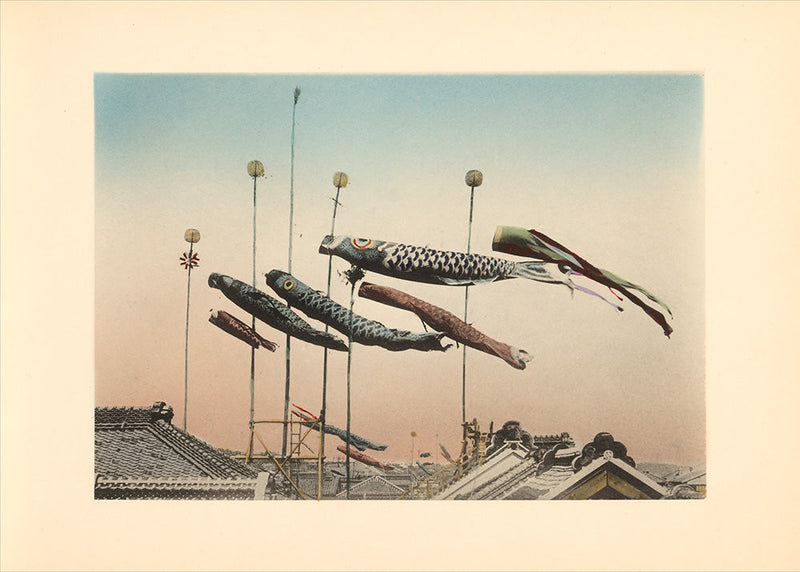 Koinobori Flags at Kodomo no hi