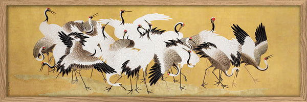 Flock of Cranes