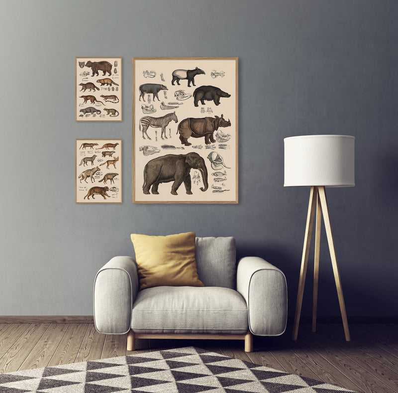 Elephant and Friends