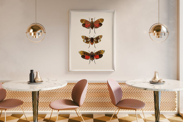 Rhynchota Homoptera detail