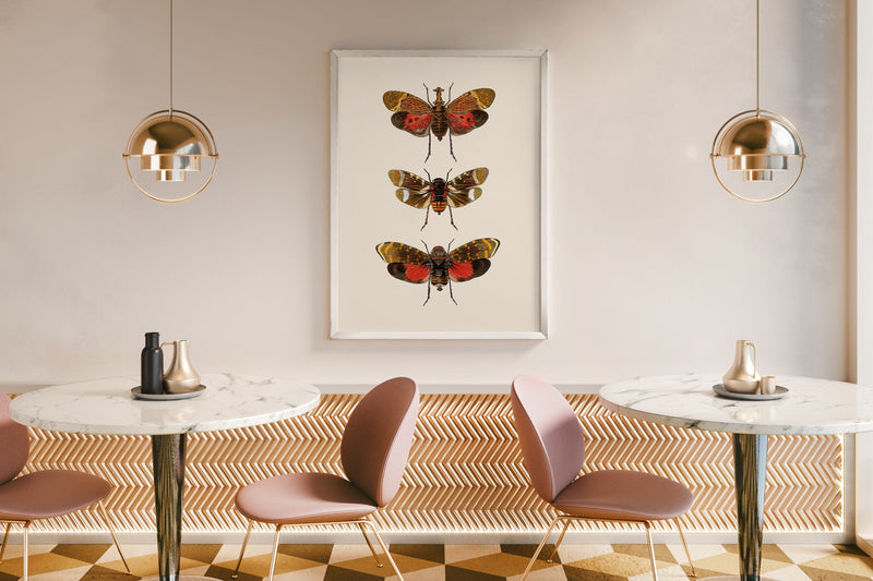 Rhynchota Homoptera detail