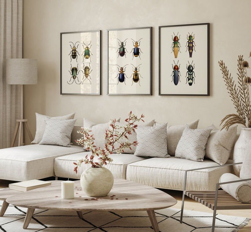 Coleoptera II detail