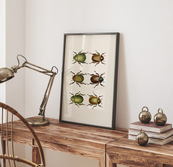 Coleoptera IX detail