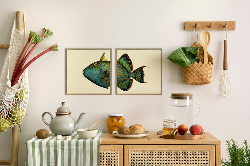 Blue Triggerfish Head