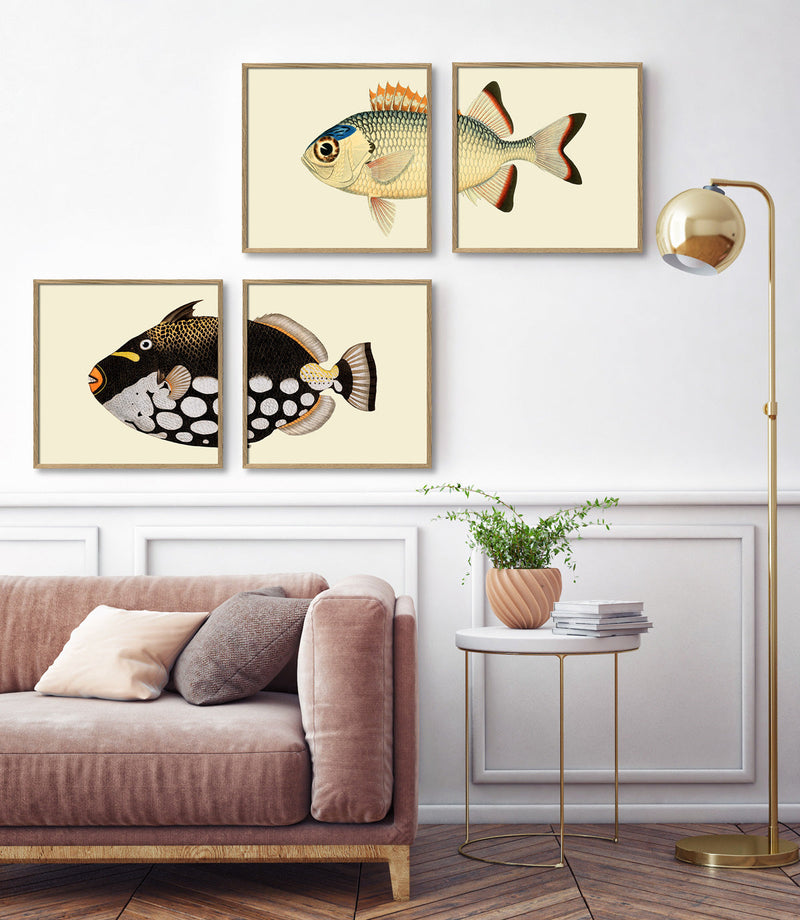 Pinecone Soldierfish Tail