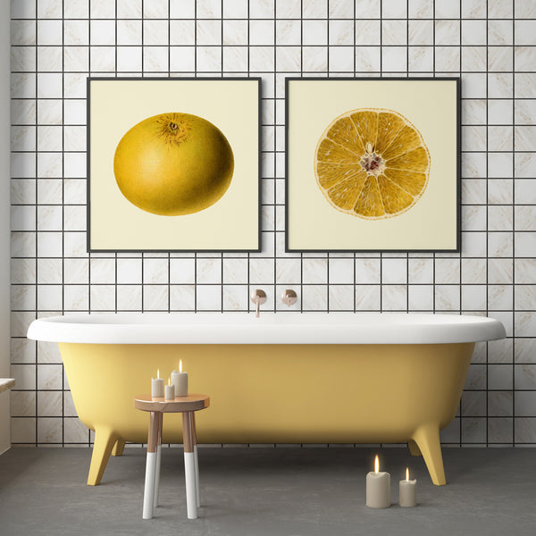 Grapefruit open