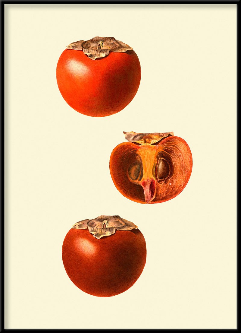 Sharon fruit