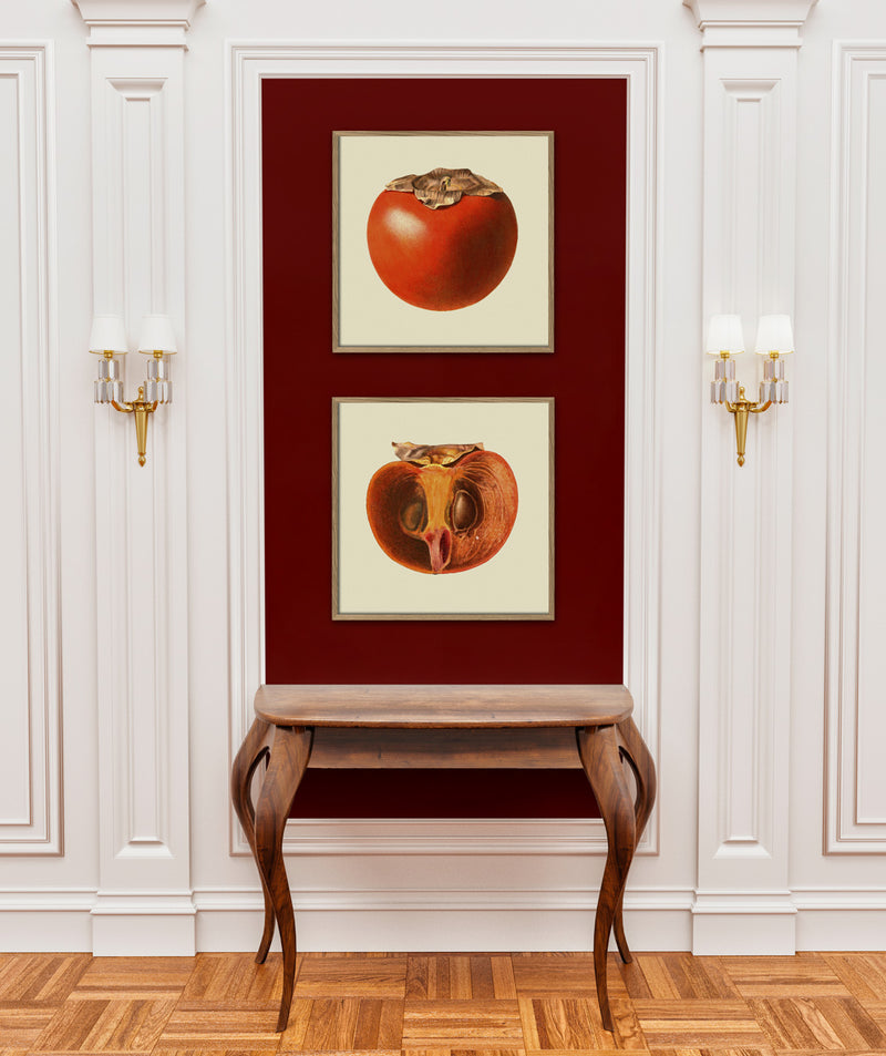 Sharon fruit open