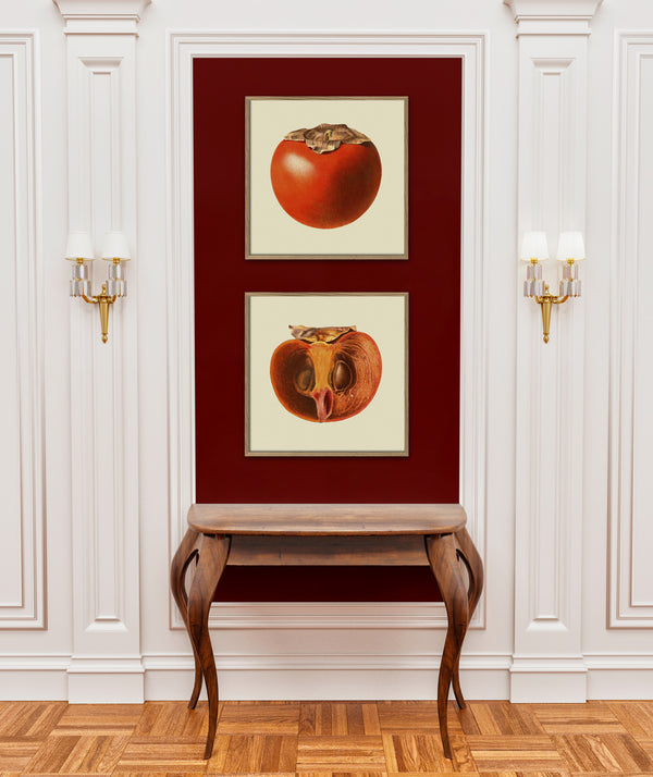 Sharon fruit closed