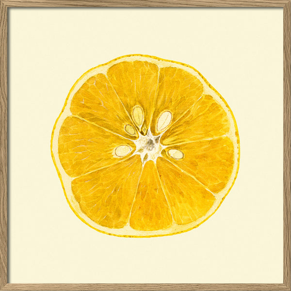Lemon open