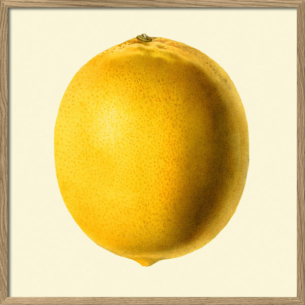 Lemon closed