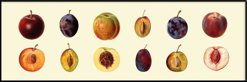 Peach and Plum