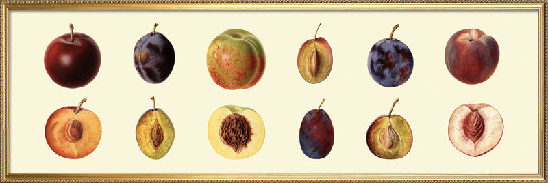 Peach and Plum