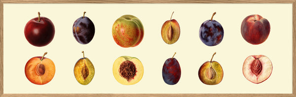 Peach and Plum