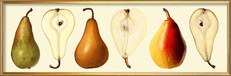 Pear