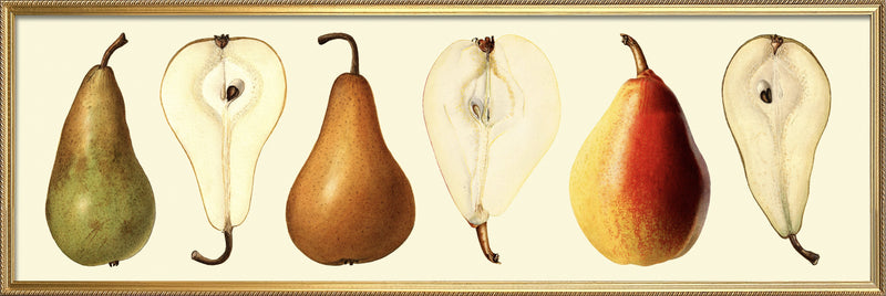 Pear