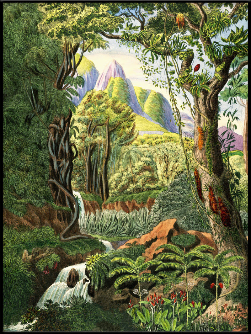Jungle Scenery