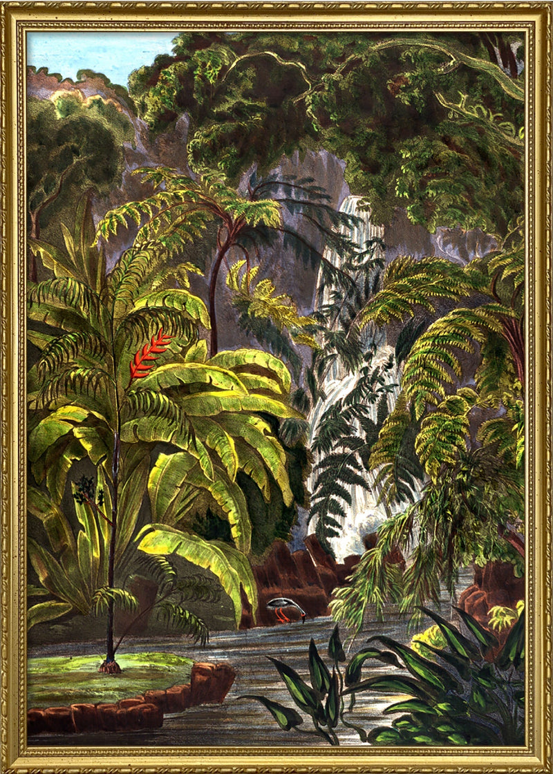 Jungle Scenery