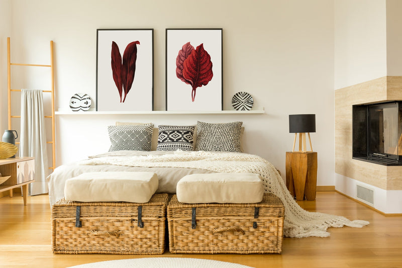 Amarantus Melancholicus