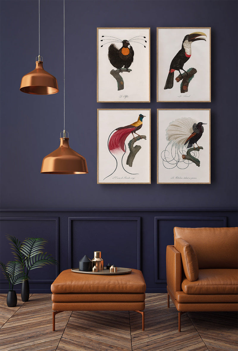 L'Oiseau de Paradis rouge