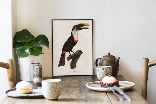 Le Toucan Tocard