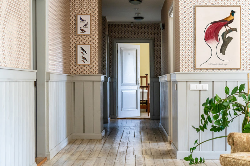 L'Oiseau de Paradis rouge