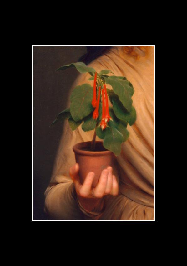 En Vogue Details II.