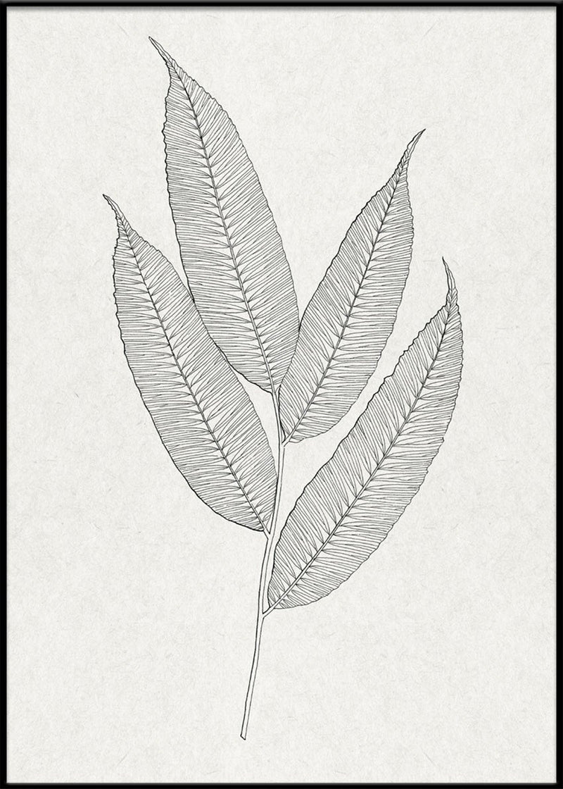Leaves