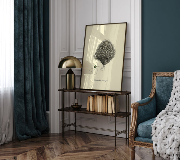 Mammillaria Cirrhfera