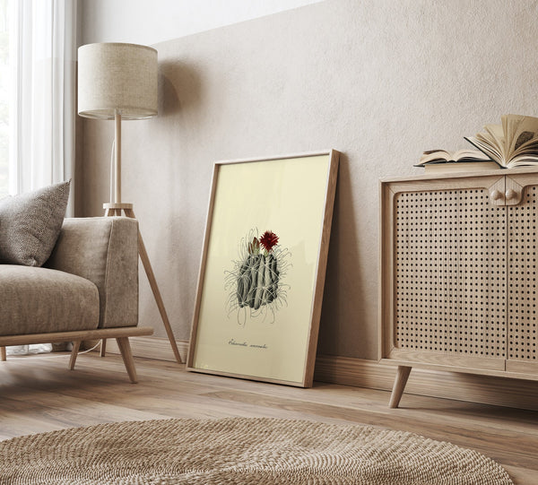 Echinocactus Uncinatus