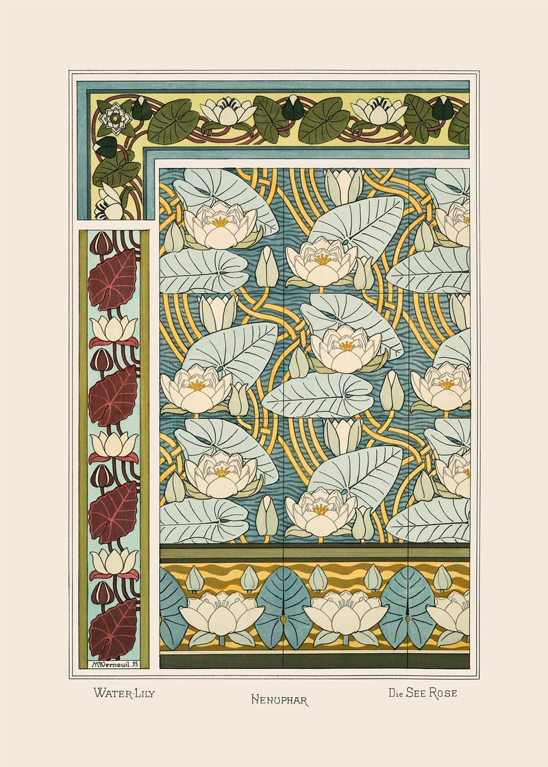 Water Lily - Nenuphar - Die See Rose