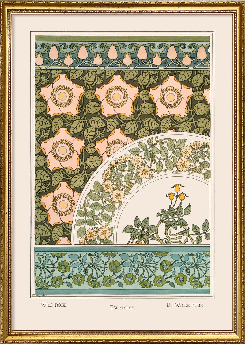 Wild Rose - Églantier - Die Wilde Rose