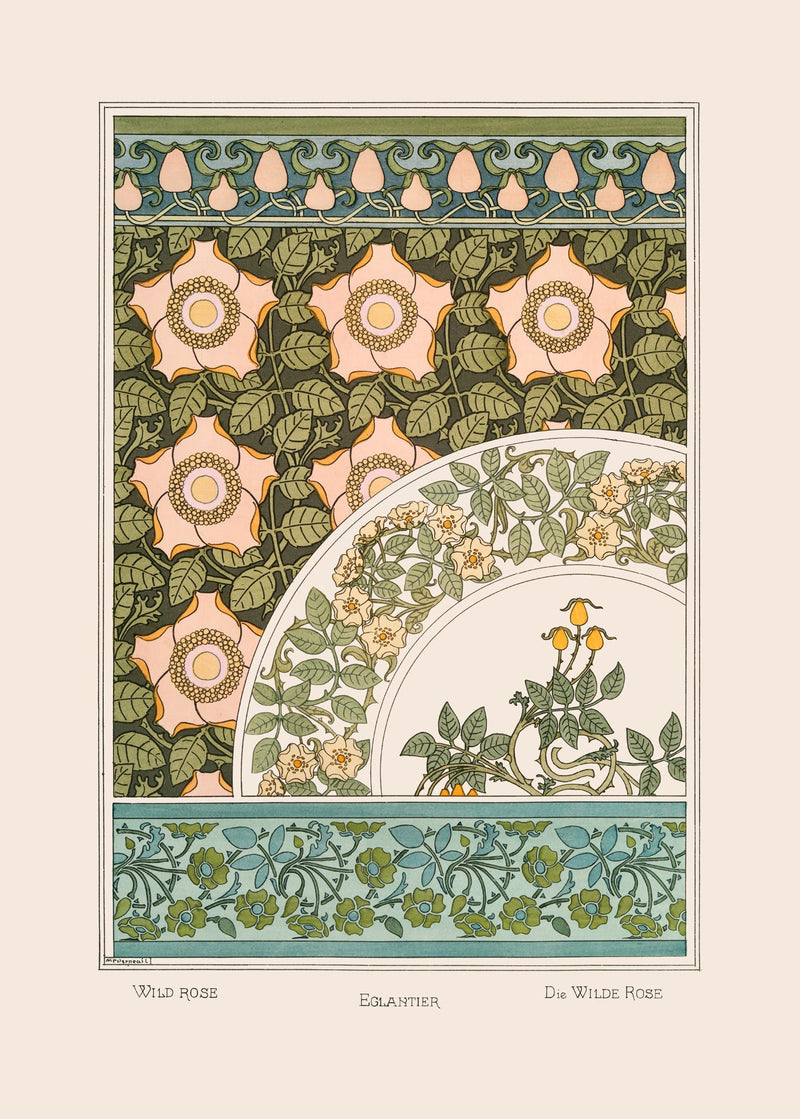 Wild Rose - Églantier - Die Wilde Rose