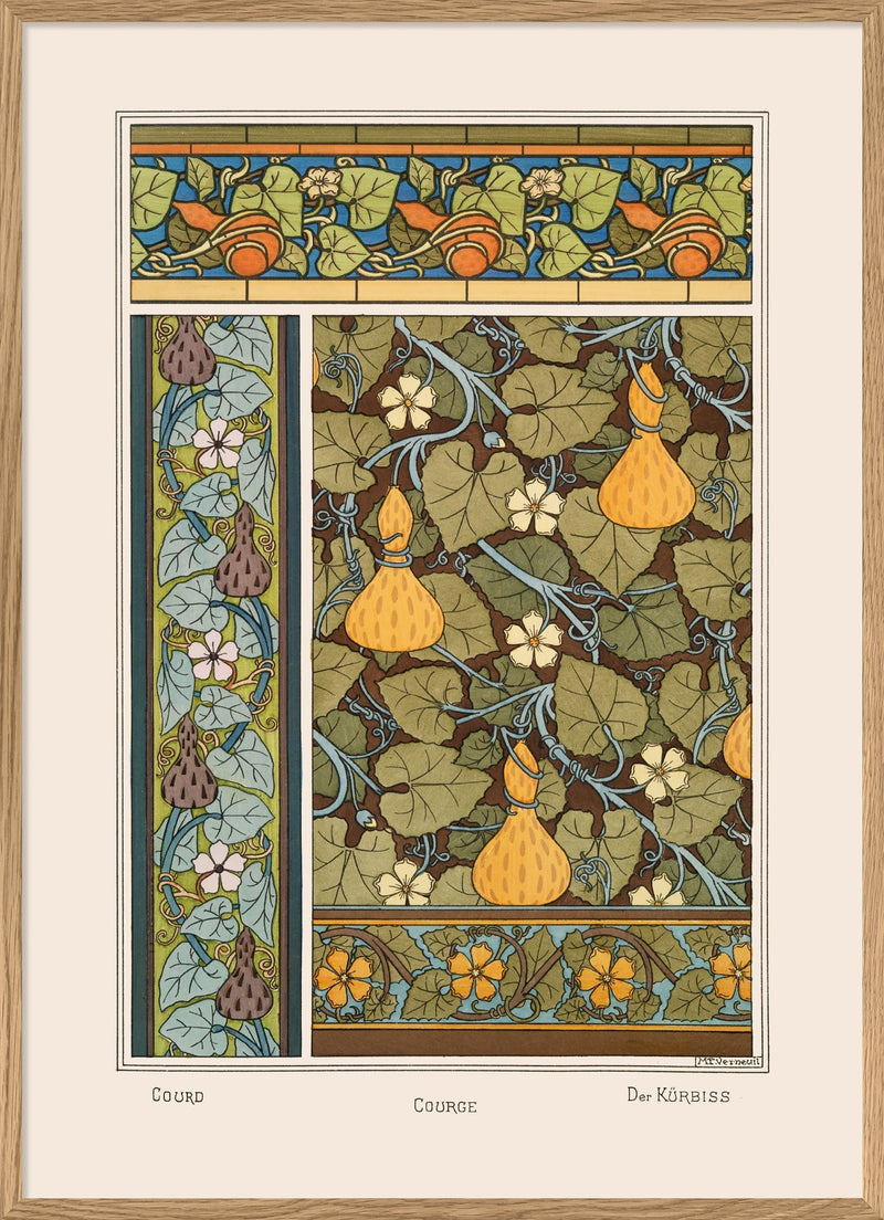 Courd - Courge - Der Kürbiss