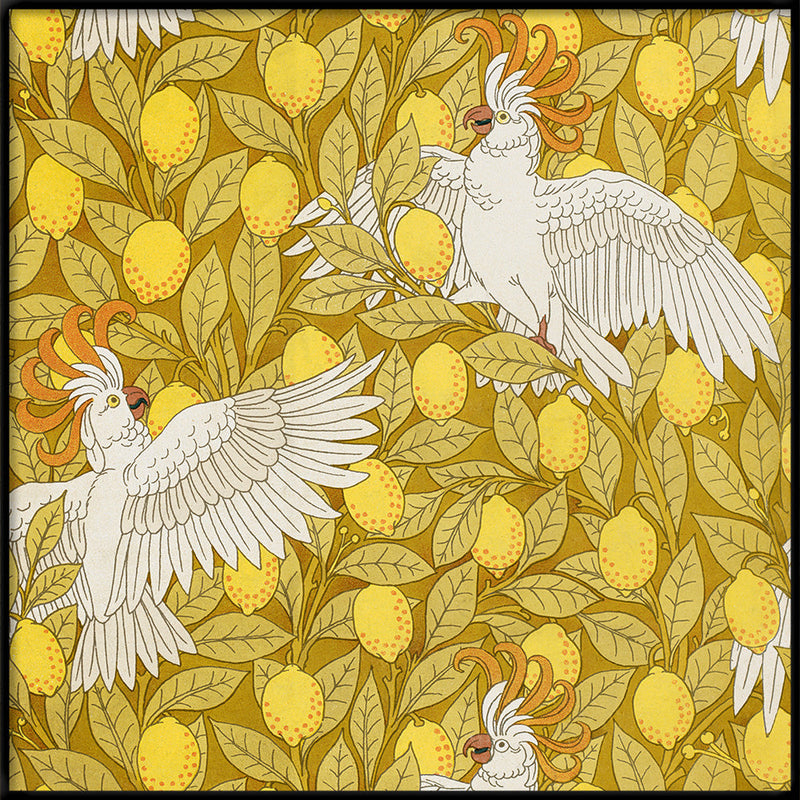 Cockatoos