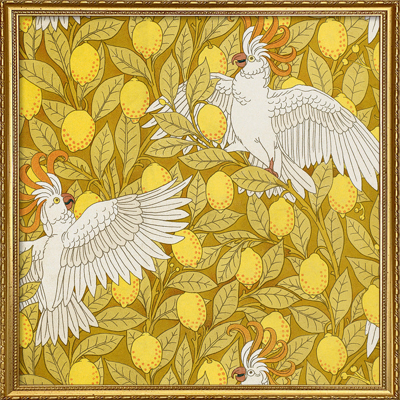 Cockatoos