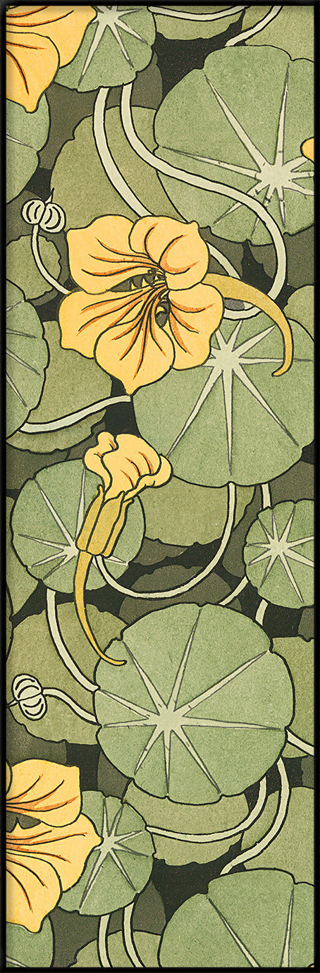 Nasturtium