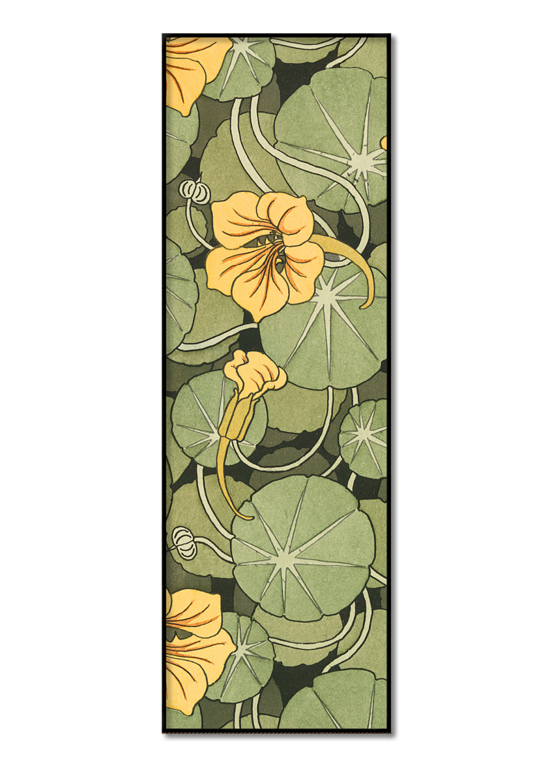 Nasturtium