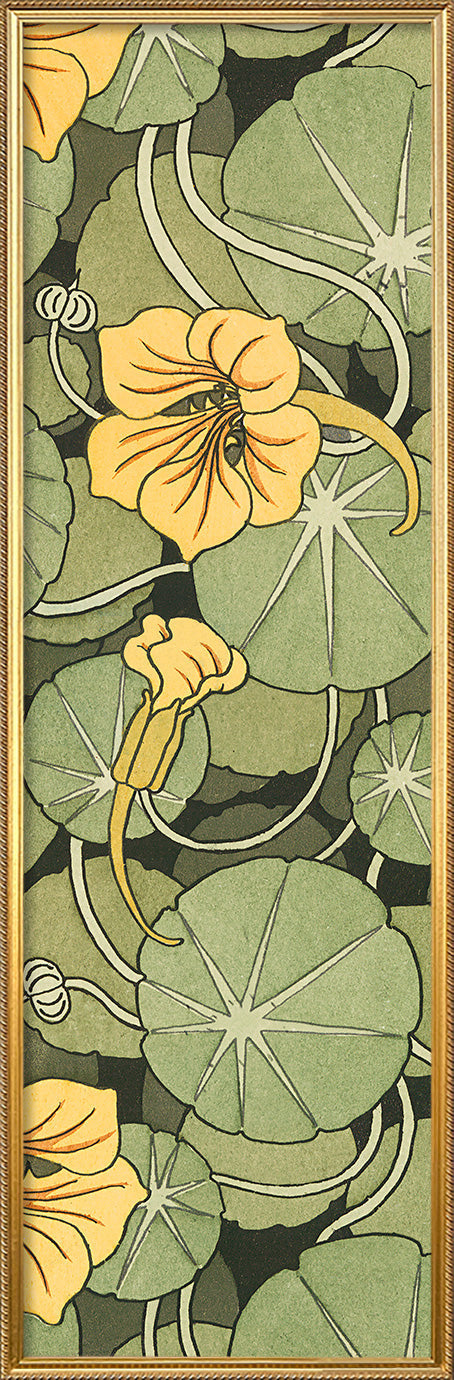 Nasturtium